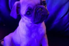 IMG_1421